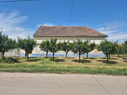 Konjička 59,61 | 4zida.rs
