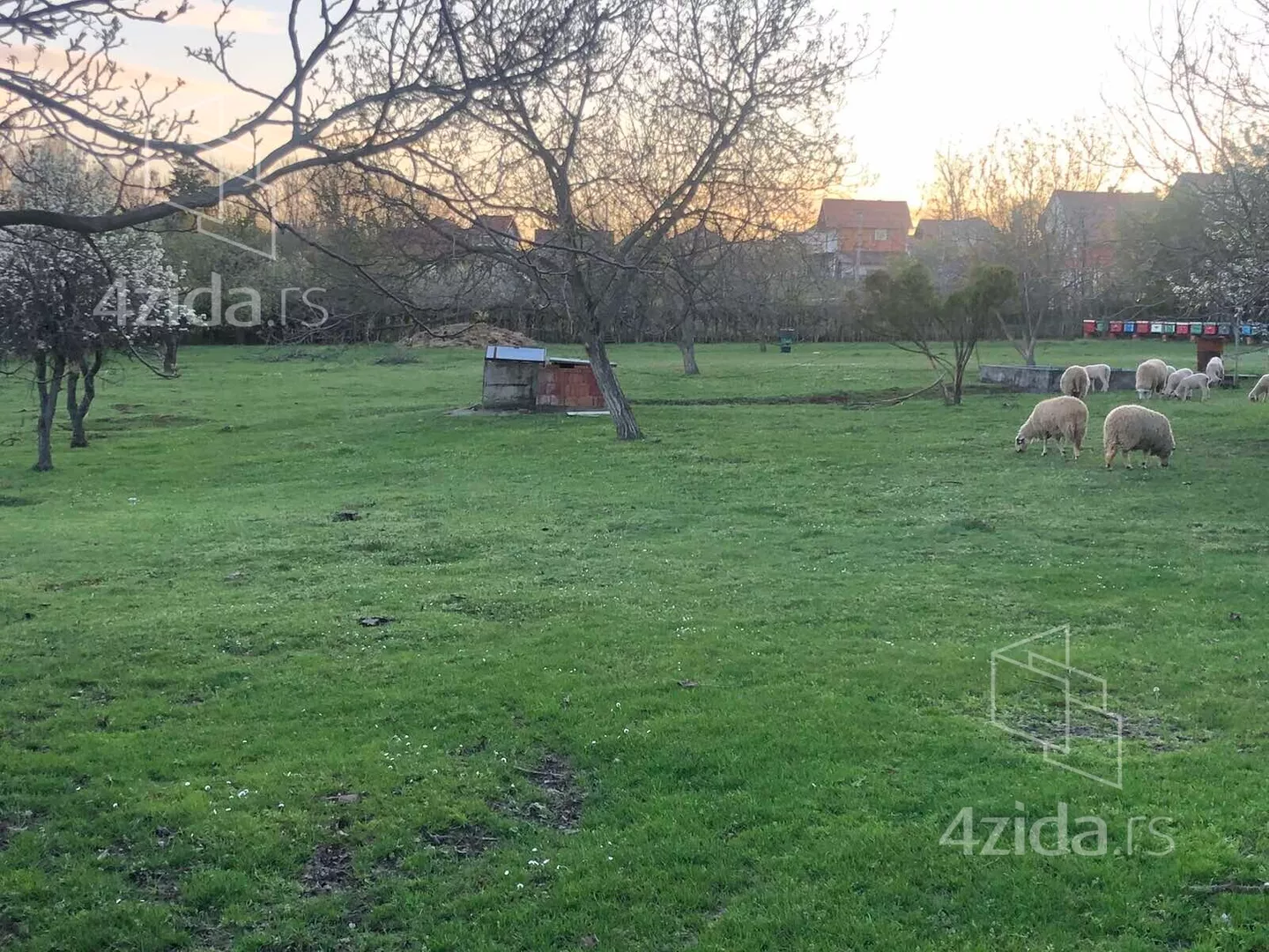 Poljoprivredno zemljište | 4zida