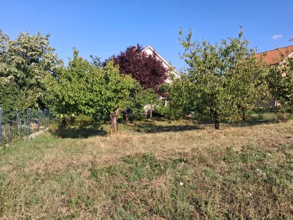 Boleč | 4zida.rs