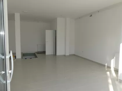 Pivara | 4zida.rs