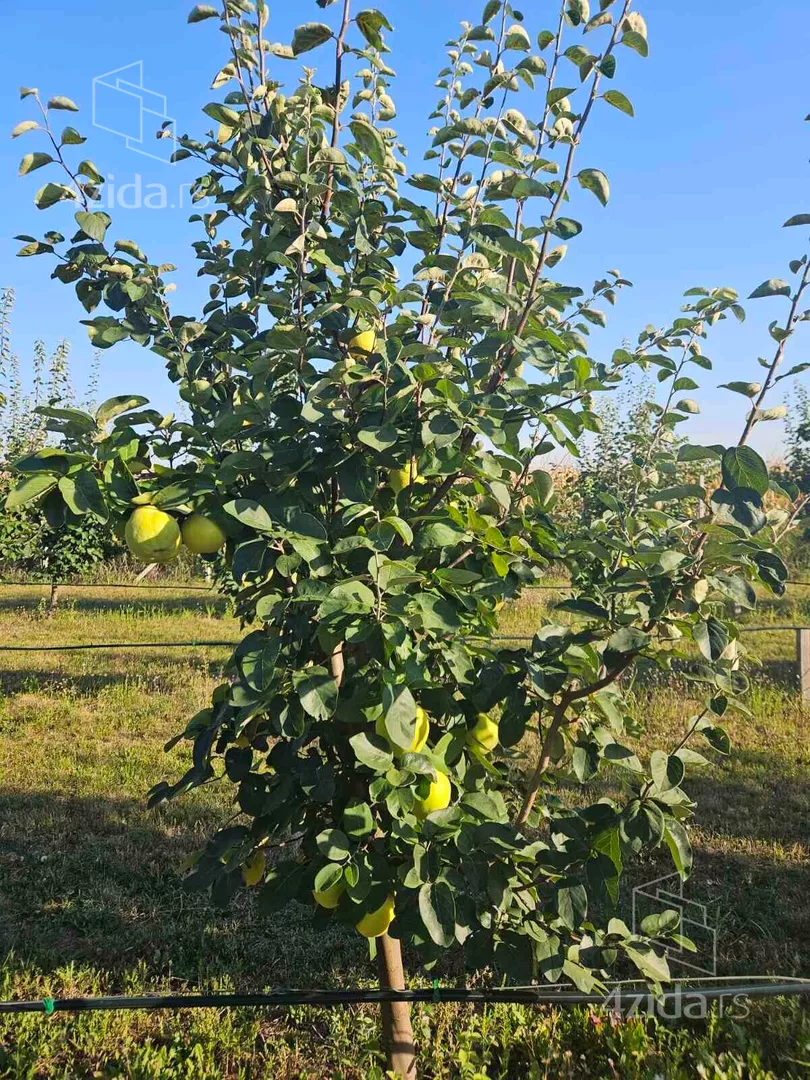 Poljoprivredno zemljište | 4zida