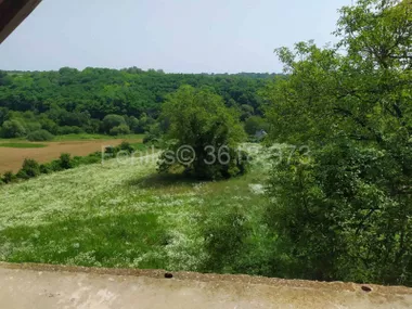 Berkasovo
