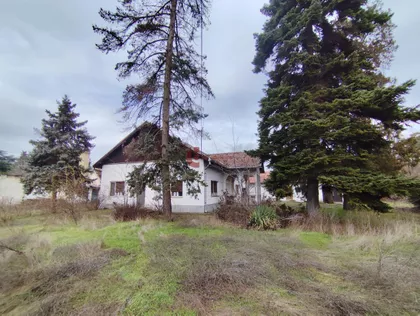 Palić | 4zida.rs