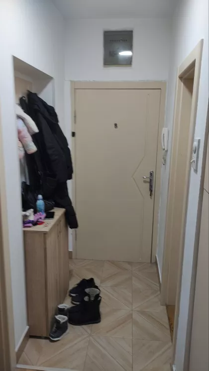 Cara Dušana | 4zida.rs