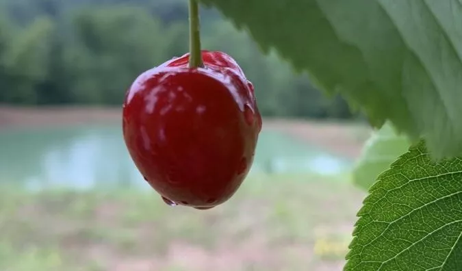 Poljoprivredno zemljište | 4zida