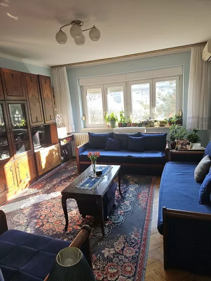 Luja Adamiča | 4zida.rs