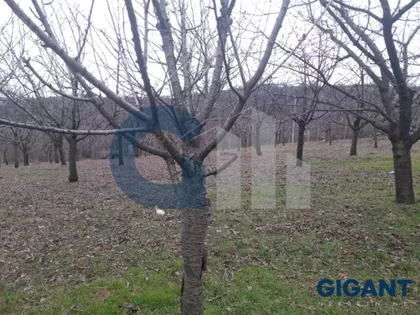 Stanojeva livada | 4zida.rs