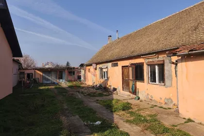 Janka Baka | 4zida.rs