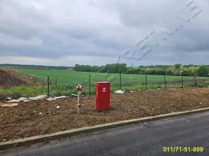 Kvantaška pijaca | 4zida.rs