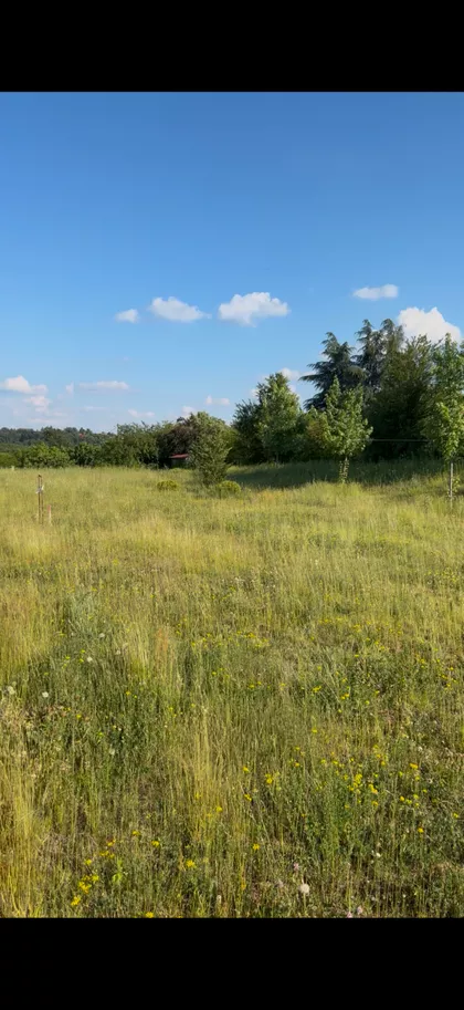 Beogradska 43 | 4zida.rs
