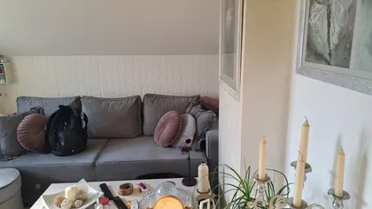 Žike Mesarovića | 4zida.rs