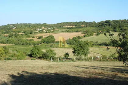 Sremska Kamenica | 4zida.rs