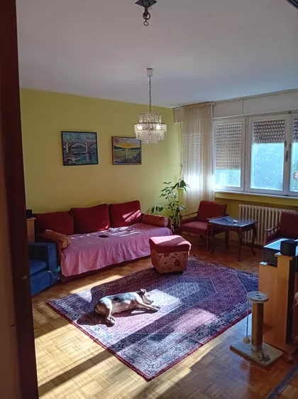 Vojina Djurasinovica Kostje | 4zida.rs