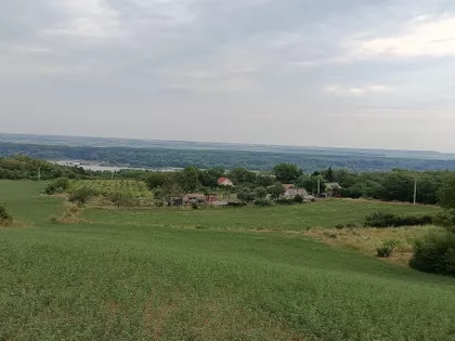 Slankamenački Vinogradi | 4zida.rs