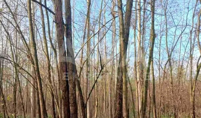 Poljoprivredno zemljište | 4zida