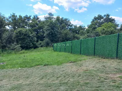 Despota Stevana Lazarevića | 4zida.rs