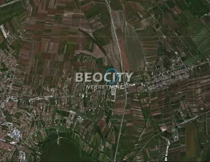 Ovča | 4zida.rs