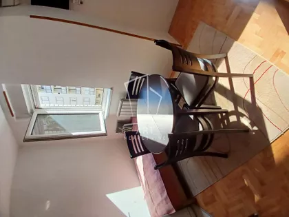 Timočke divizije | 4zida.rs