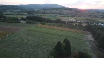 Kosni Put | 4zida.rs