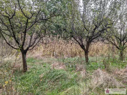 Straževica | 4zida.rs