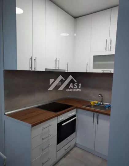 Dr Svetislava Kasapinovića | 4zida.rs