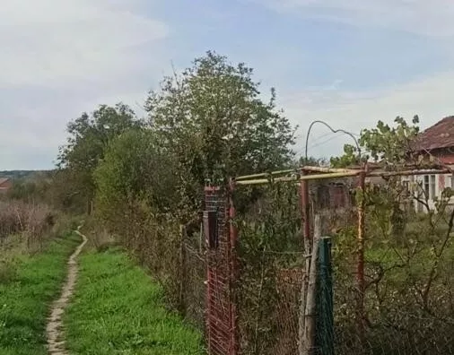 Plac | 4zida
