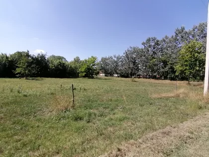 Palić | 4zida.rs