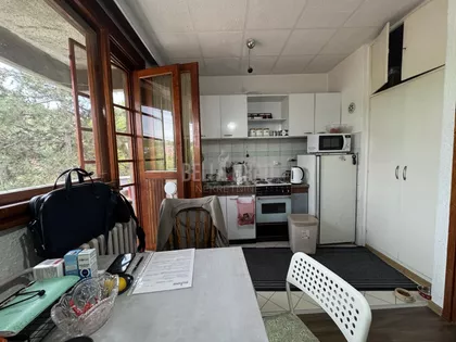 Jelke Bojkić Makavejev | 4zida.rs