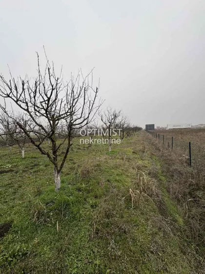 Male međe nova 28. | 4zida.rs