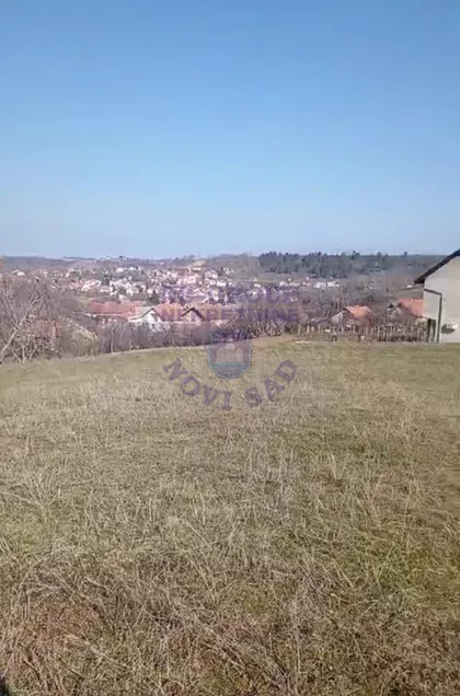 Bukovac | 4zida.rs