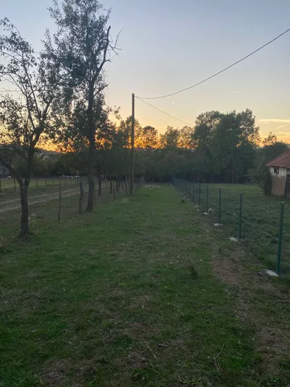 Carice Milice | 4zida.rs