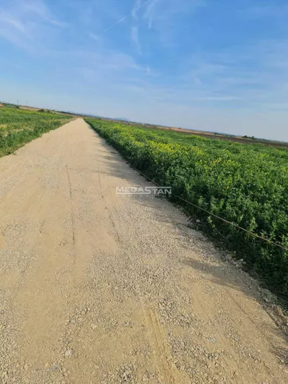 Batajnica | 4zida.rs