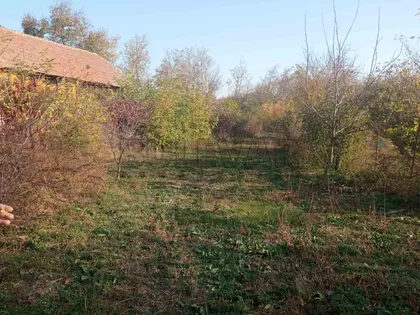 Bobovište | 4zida.rs