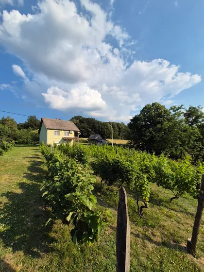 Loznica | 4zida.rs