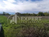 Pasi Poljana, Palilula, Gradske lokacije, Niš | 4zida.rs