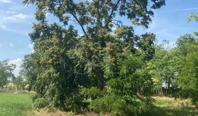 Poljoprivredno zemljište | 4zida