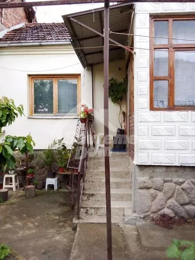 Male Pčelice