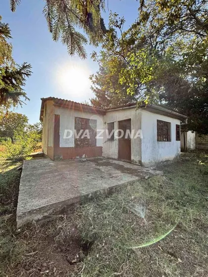 Čortanovci | 4zida.rs