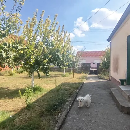 Gradske lokacije | 4zida.rs
