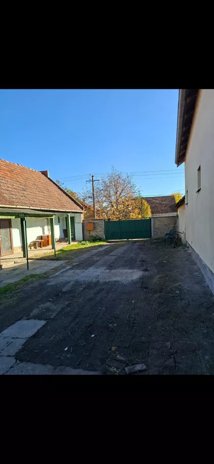 Doža Đerđa 101 | 4zida.rs