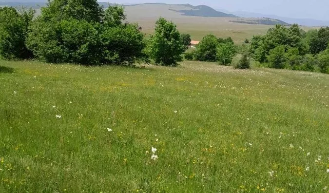 Plac | 4zida