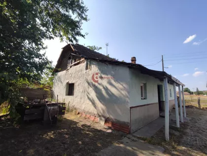 Bački Vinogradi | 4zida.rs