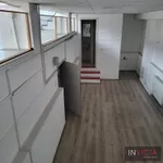 Lokal | 4zida