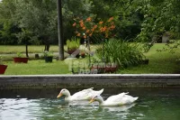 Batočina, Gradske lokacije | 4zida.rs | 4zida.rs