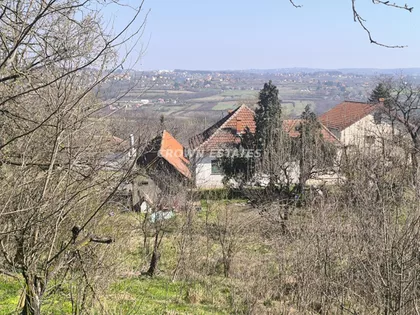 Živojina Katića Žike | 4zida.rs