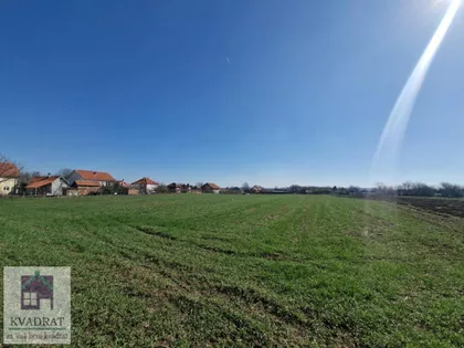Zvečka | 4zida.rs