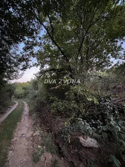 Čortanovci | 4zida.rs