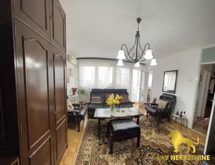 DR RIBARA | 4zida.rs