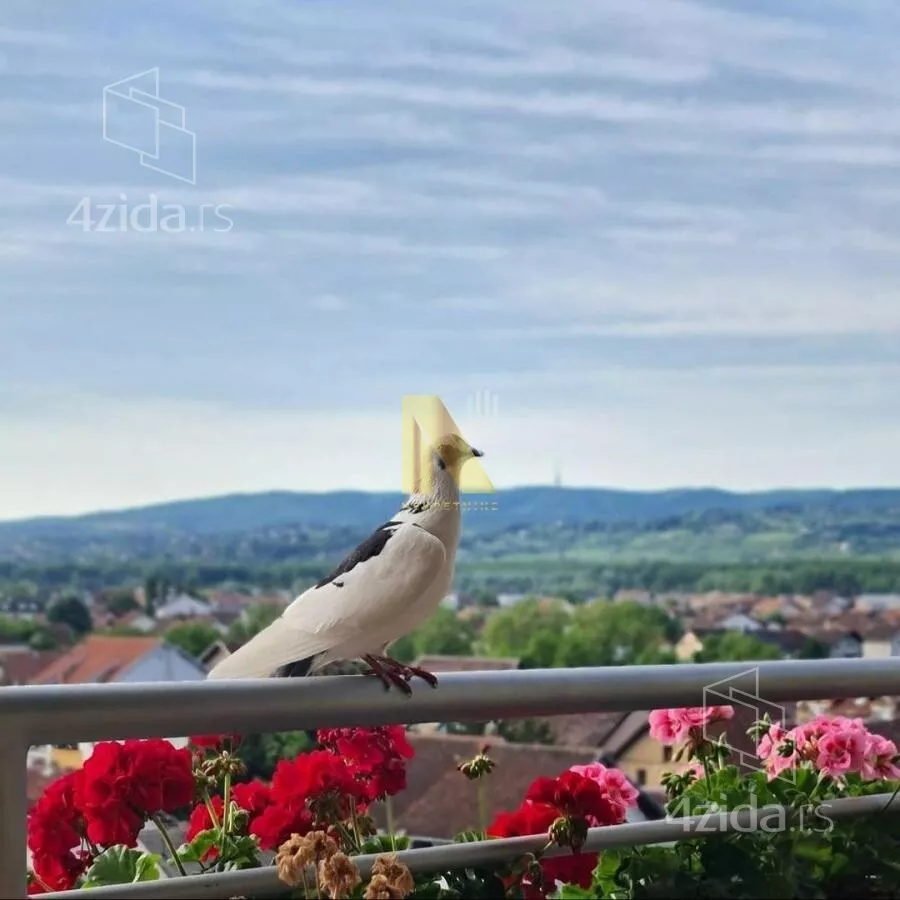 Šestosoban stan | 4zida