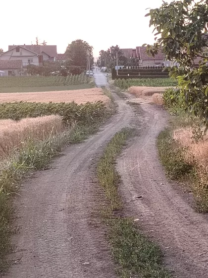 Stevana Dečanskog | 4zida.rs